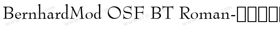 BernhardMod OSF BT Roman字体转换